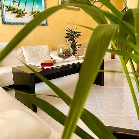 Couette-café Lalu's 3*